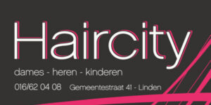 Haircity LOGO